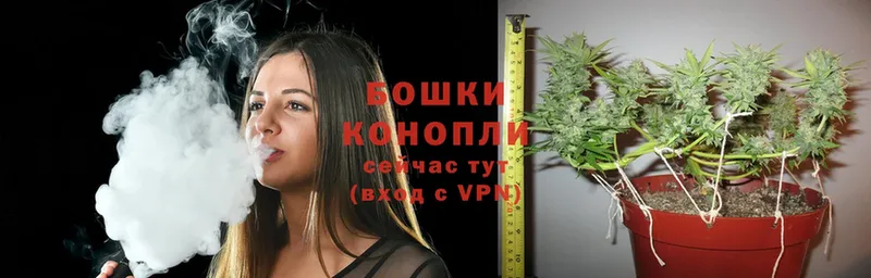 omg ссылки  Кувандык  Бошки Шишки VHQ 